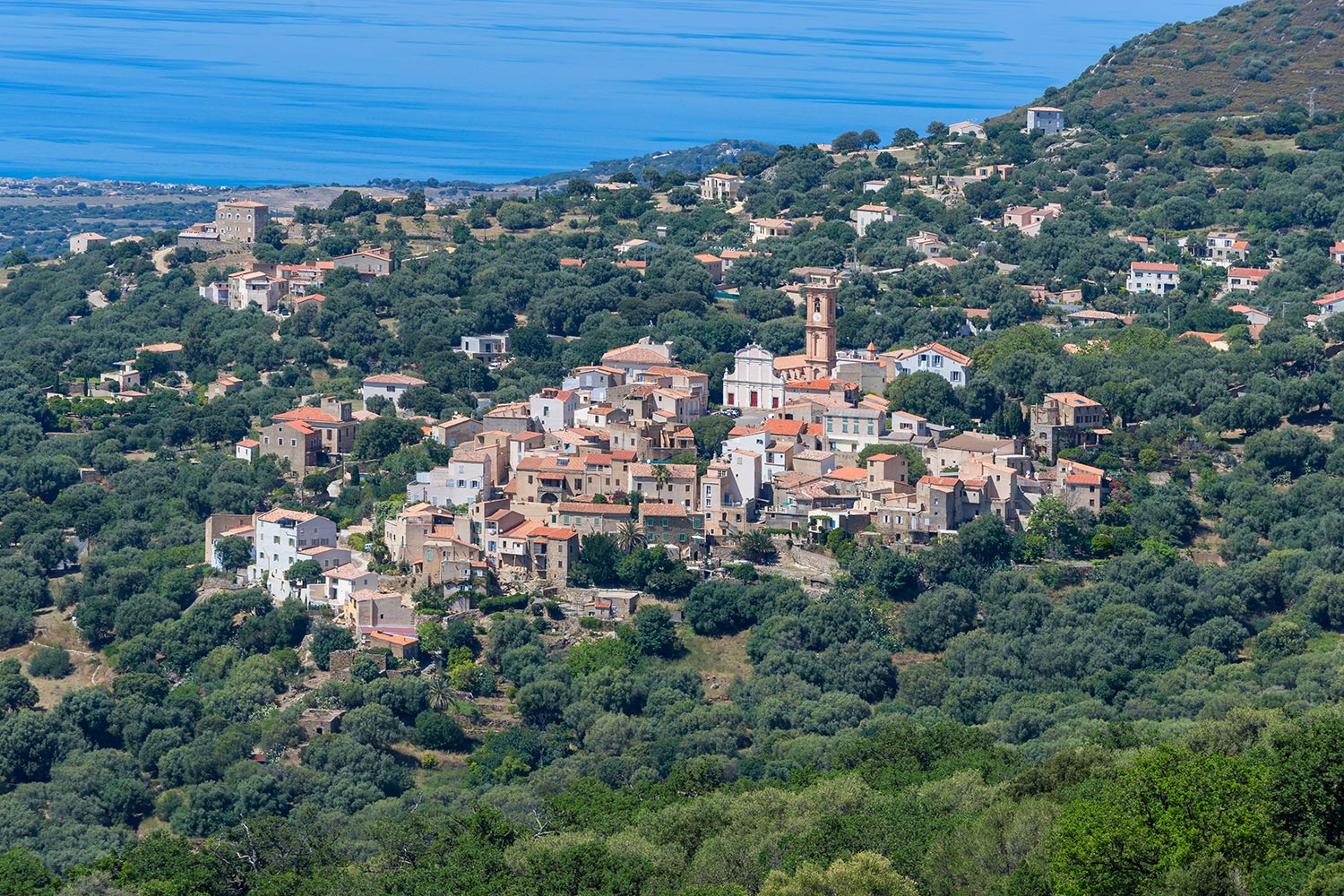 Aregno en Balagne, Haute Corse